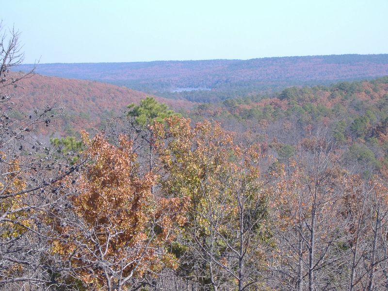 Three Rivers Wildlife Management Area | TravelOK.com - Oklahoma's ...