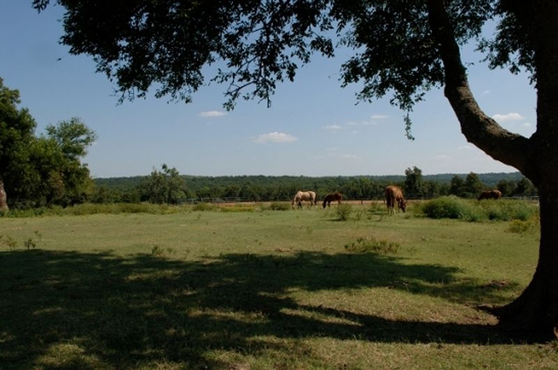 Flying G Ranch | TravelOK.com - Oklahoma's Official Travel & Tourism Site