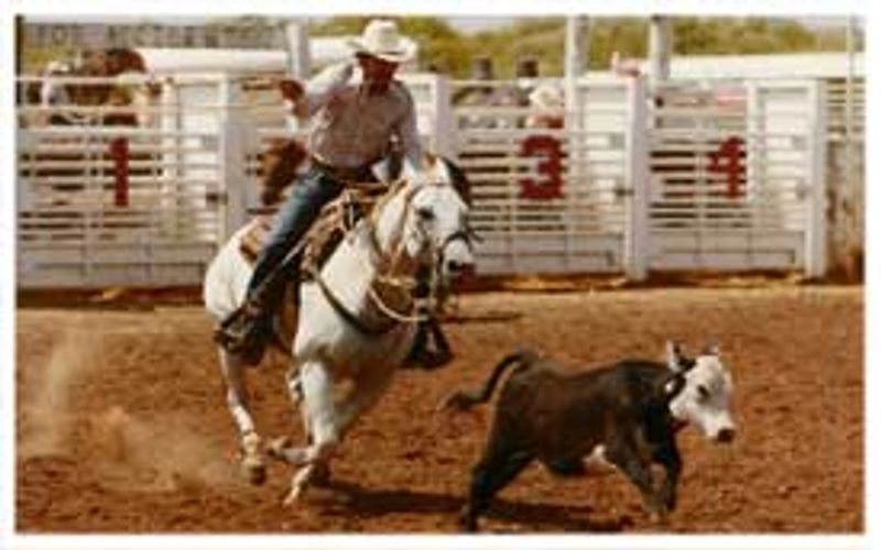 Freedom Rodeo & Old Cowhand Reunion | TravelOK.com - Oklahoma's ...