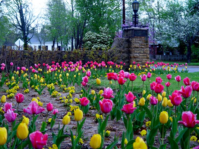 Oklahoma Spring Botanical Gardens | TravelOK.com - Oklahoma's Official Travel & Tourism ...