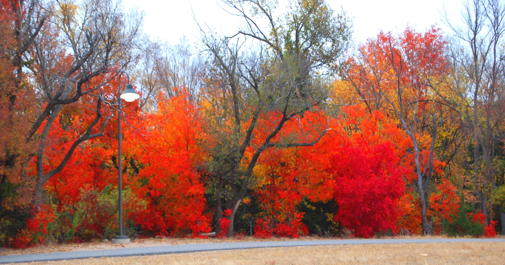 City of Woodward Oklahoma's Official Travel & Tourism Site