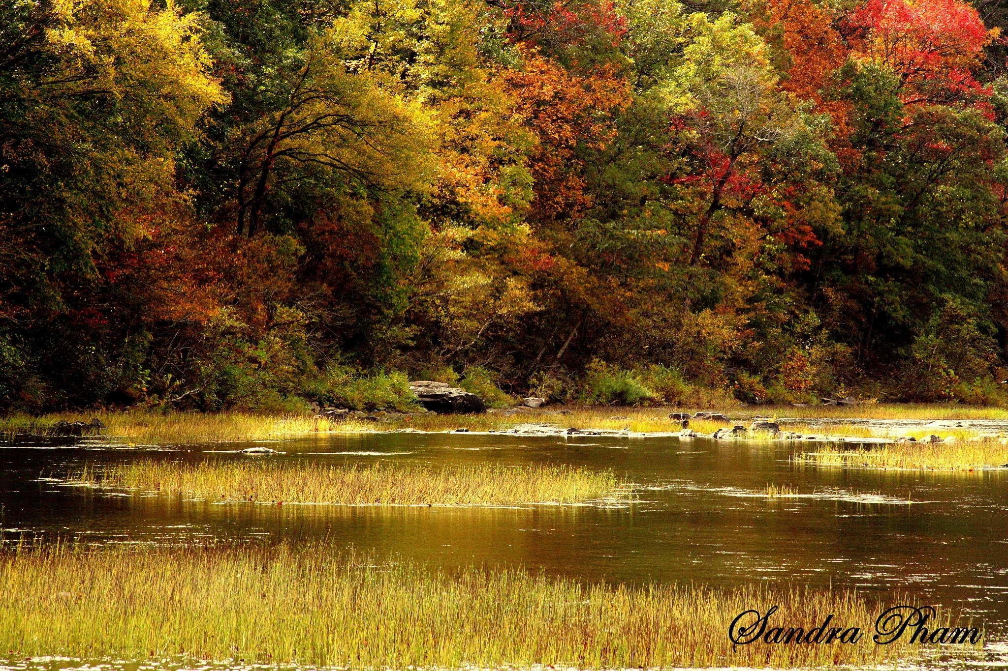 Oklahoma Fall Foliage and Festivals Oklahoma's