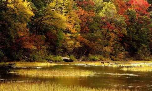 Oklahoma Fall Foliage and Festivals | TravelOK.com - Oklahoma's ...