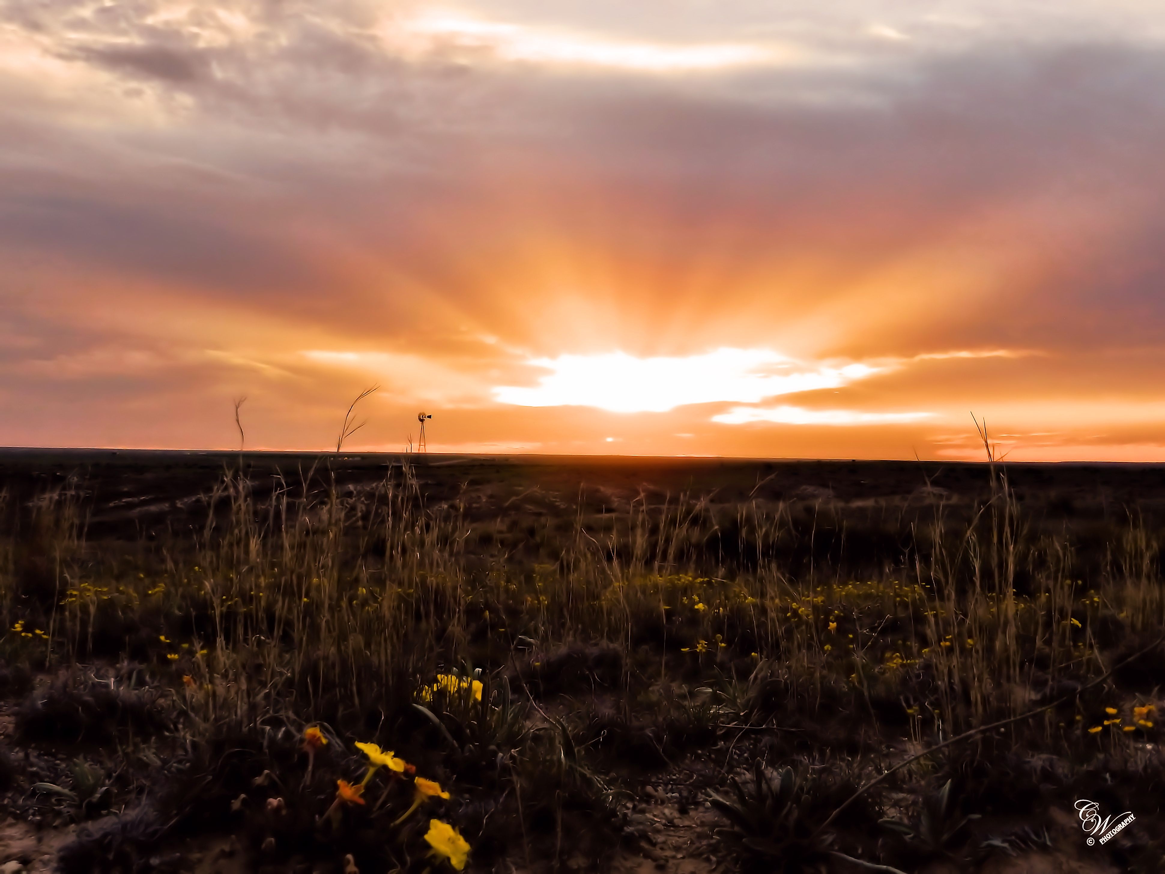 City of Guymon Oklahoma's Official Travel & Tourism Site