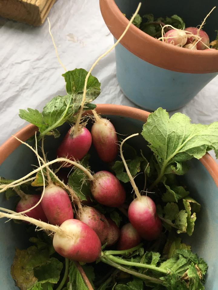 City of Woodward Oklahoma's Official Travel & Tourism Site