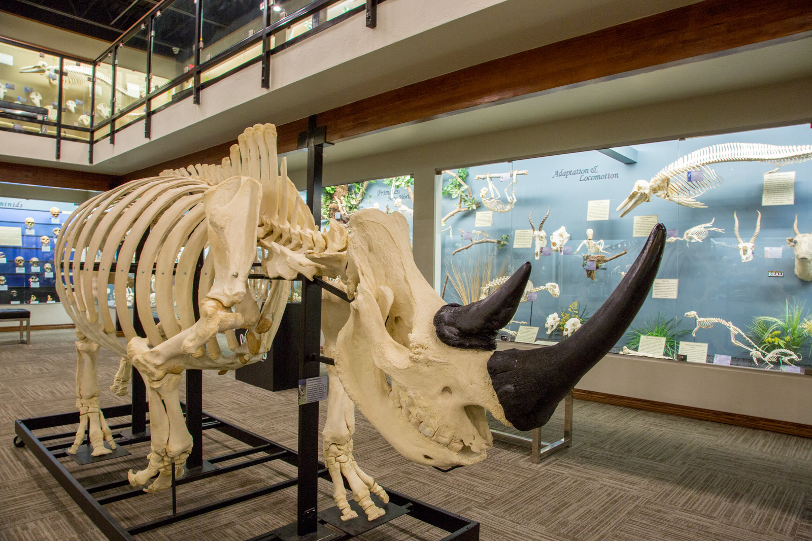 Oklahoma Museums Oklahoma's Official Travel & Tourism Site