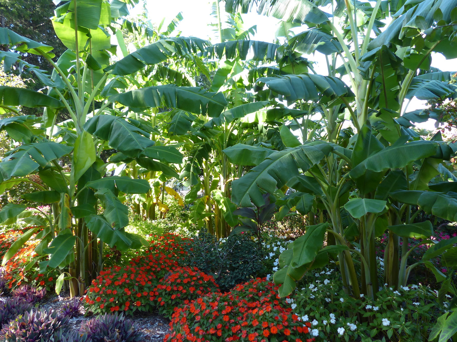 Fr&uuml;hlingserwachen in Oklahomas G&auml;rten und Parks