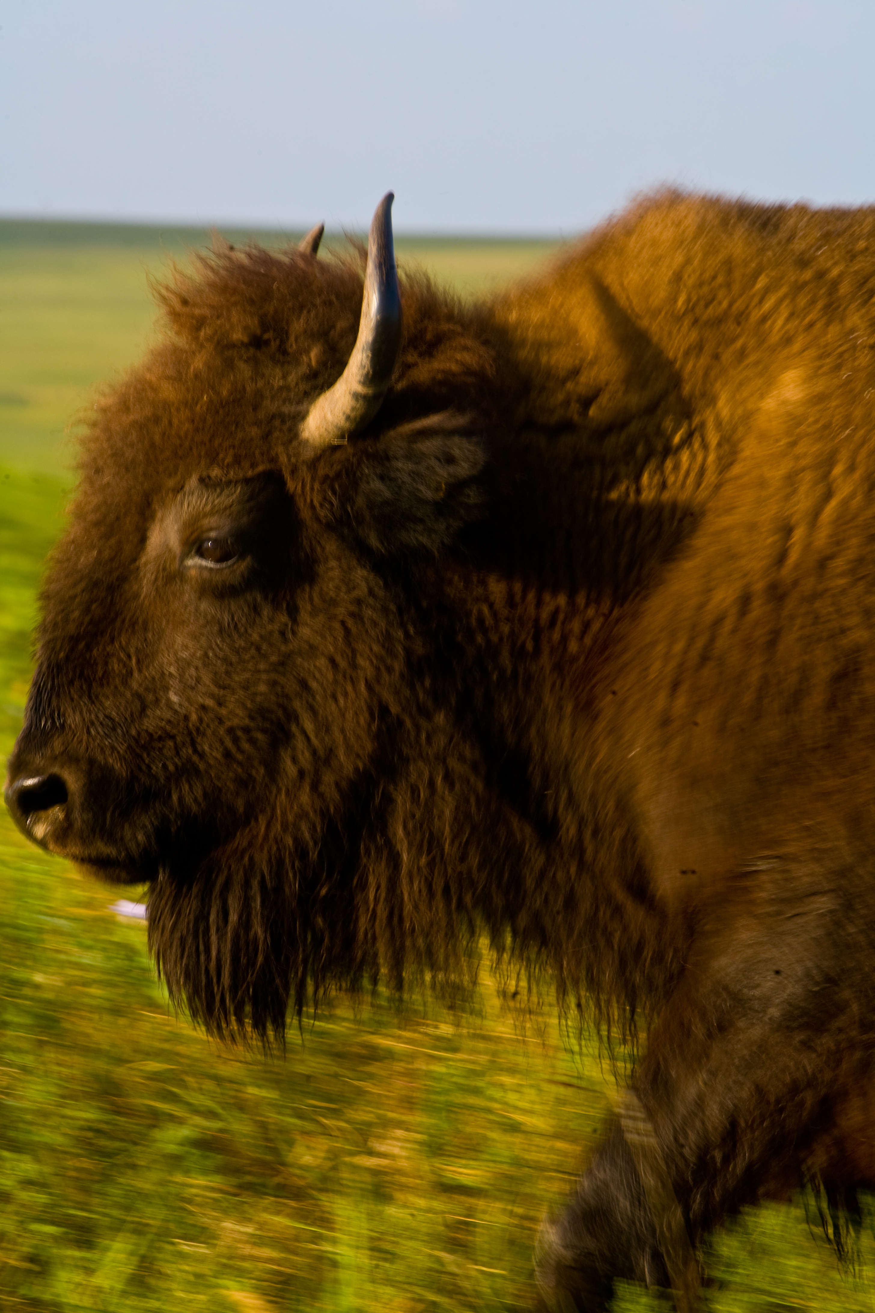 Die Top 3 Freizeitaktivit&auml;ten in Oklahoma