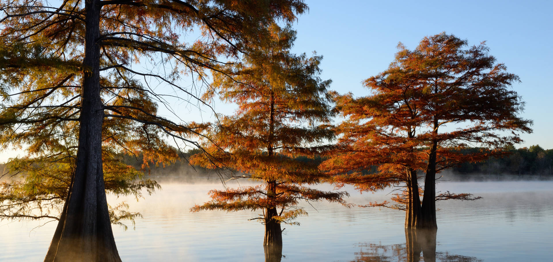 Oklahoma Fall Foliage and Festivals Oklahoma's