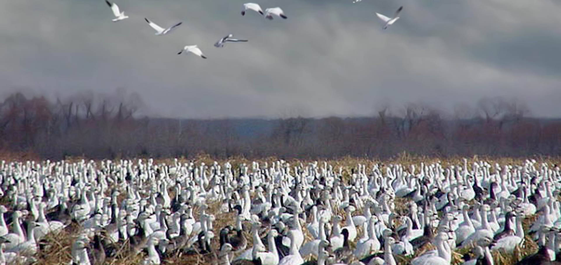 City of Vian Oklahoma's Official Travel & Tourism Site