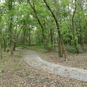 A portion of the nature trail next to the nature center.