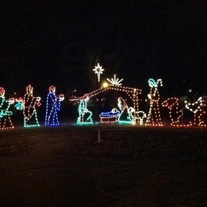bring the family out for this drive through christmas light show at johnstone park enjoy the music synchronized lighted tunnel animated displays and - Animated Christmas Light Displays bring the family out for this drive through christmas light show at johnstone park enjoy the music synchronized lighted tunnel animated displays and - Animated Christmas Light Displays