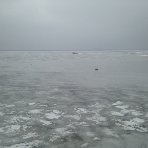 A sheet of ice covers Tom Steed Lake during the winter.
