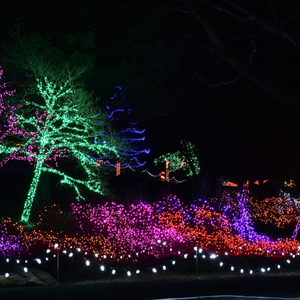 Garden of Lights | TravelOK.com - Oklahoma's Official Travel & Tourism Site