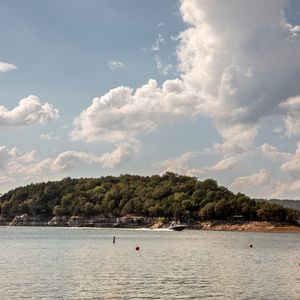 Lakeside Outdoor Driftwood Group