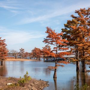 Sequoyah Bay State Park boasts year-round beauty in northeast Oklahoma. Photo by Lori Duckworth/Oklahoma Tourism.