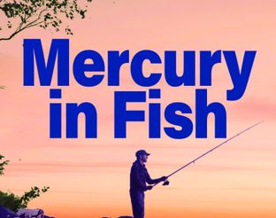 DEQ Fish Consumption Recommendations – Mercury in Fish