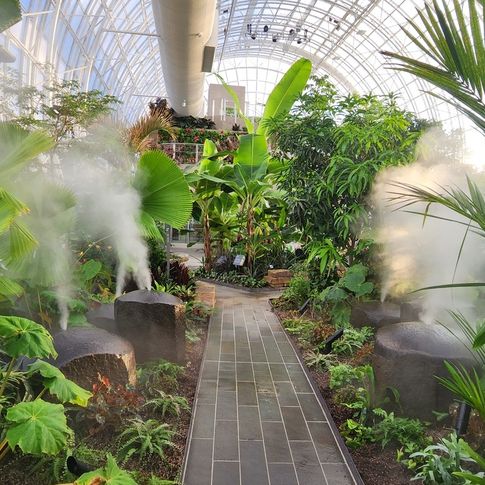 Enter a tropical jungle in the heart of Oklahoma City at the Crystal Bridge Conservatory.