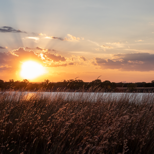 Awe at magical Western Oklahoma sunsets during your adventures at Foss State Park.