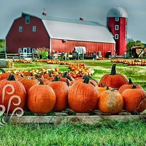 Charming Fall Destinations & Getaways in Oklahoma | TravelOK.com ...