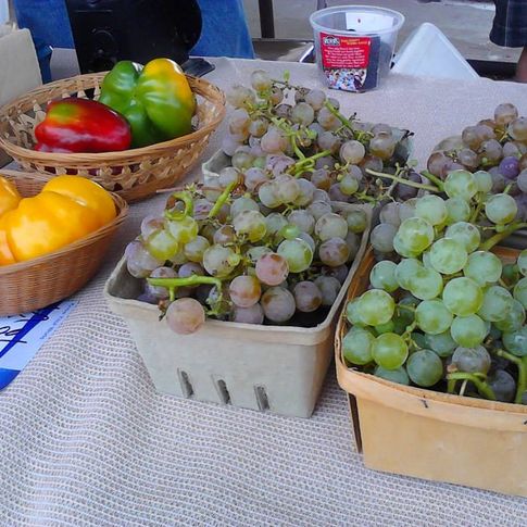 Farmers bring beautiful bounties of grapes and peppers to visitors who pay the Latimer County Farmers Market in Wilburton a visit.
