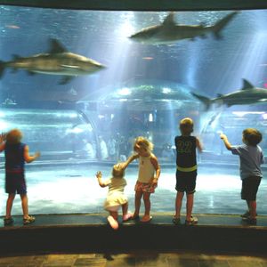 Oklahoma Aquarium | TravelOK.com - Oklahoma's Official Travel & Tourism ...