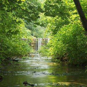 Drink in tranquility and surround yourself with enchanting scenery during an adventure to Natural Falls State Park.