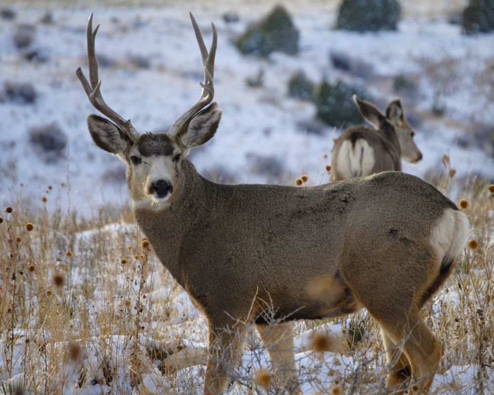 Black Mesa State Park | TravelOK.com - Oklahoma's Official Travel ...