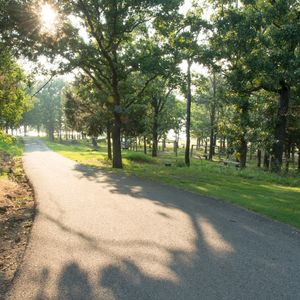 Enjoy the quiet of the woods during your relaxing getaway to Lake Wister State Park.