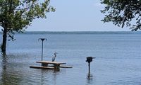 Bernice Park Closure