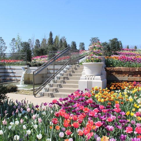 Enjoy a peaceful stroll through Tulsa Botanic Garden's colorful landscapes.