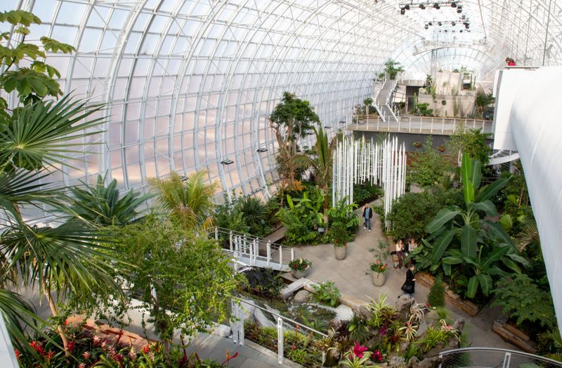 Oklahoma City Oasis: The Myriad Botanical Gardens | TravelOK.com ...