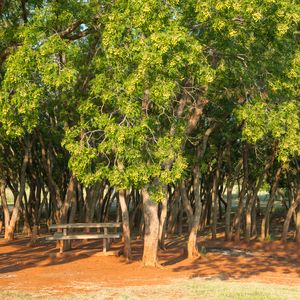 Take a detour off Route 66 and stop at Foss State Park to enjoy a picnic under the shade.