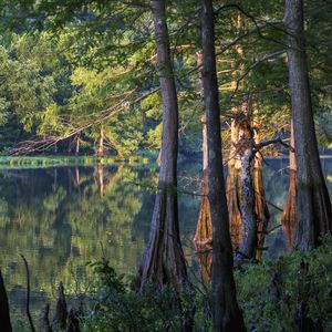 Explore the wooded trails and make your way along the pristine waters of Broken Bow Lake or Mountain Fork River during an adventure toBeavers Bend State Park.