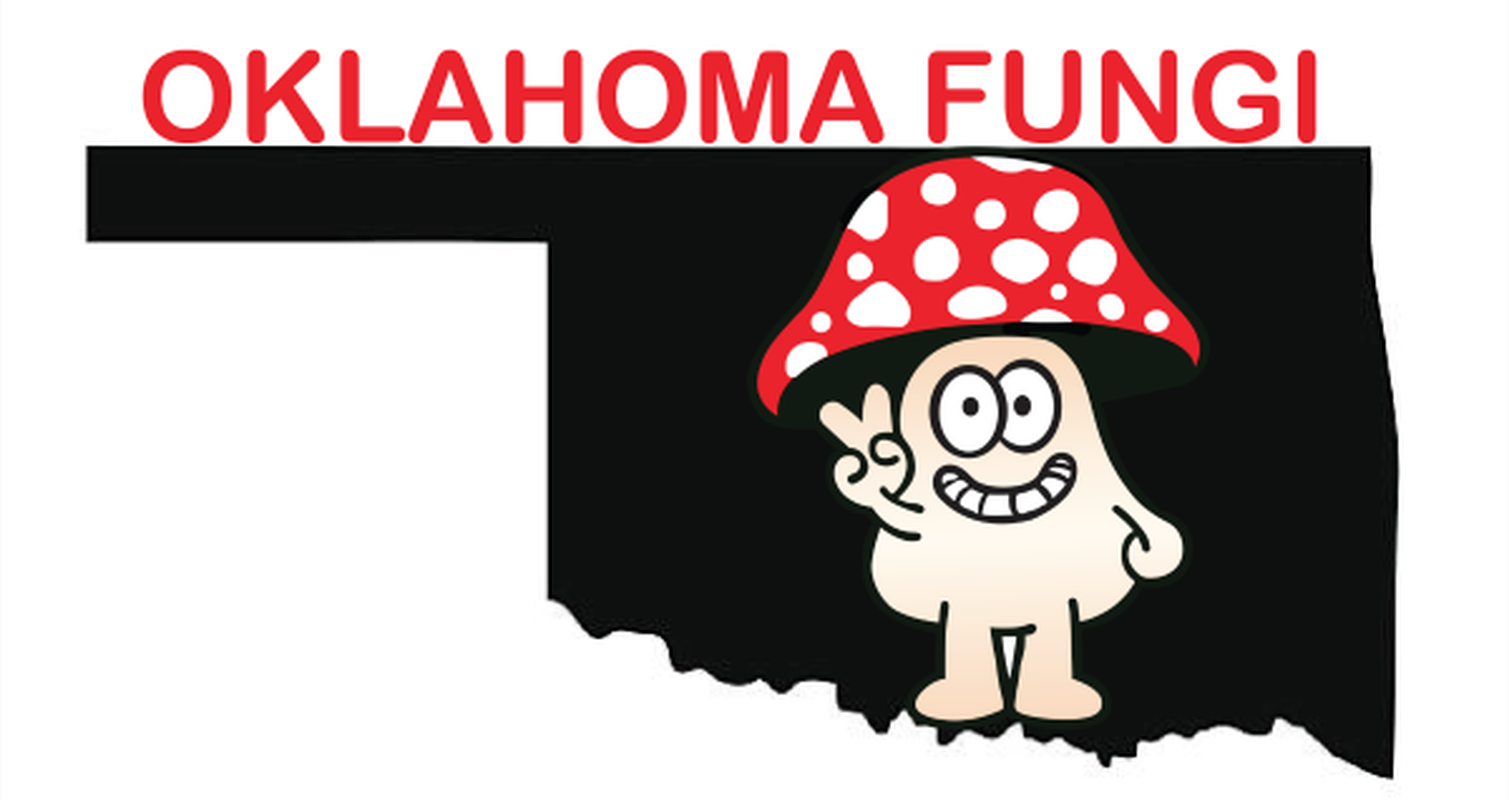 oklahoma-mushroom-festival-travelok-oklahoma-s-official-travel