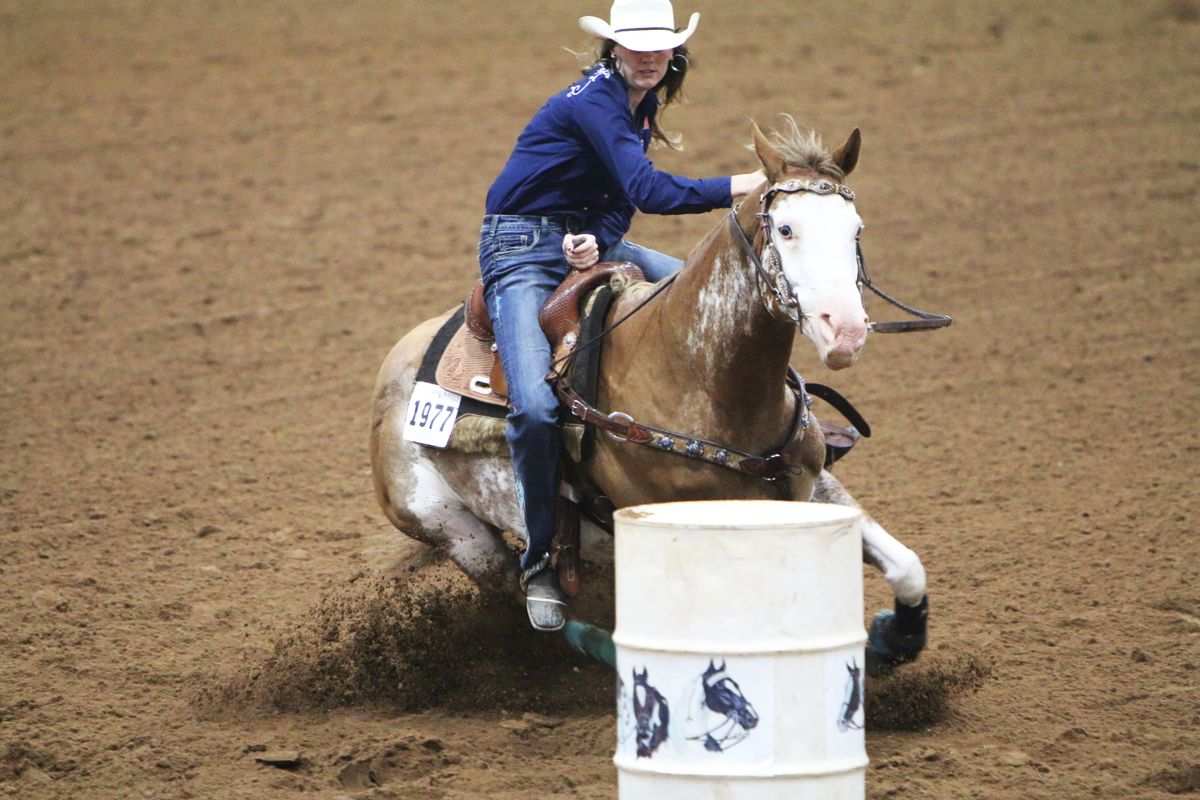Pinto World Championship Horse Show Oklahoma's