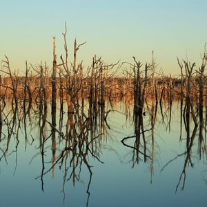 New Lake, Who Dis #2: Lone Chimney Lake, Glencoe, OK--Kayak Bass Fishing in  Oklahoma 