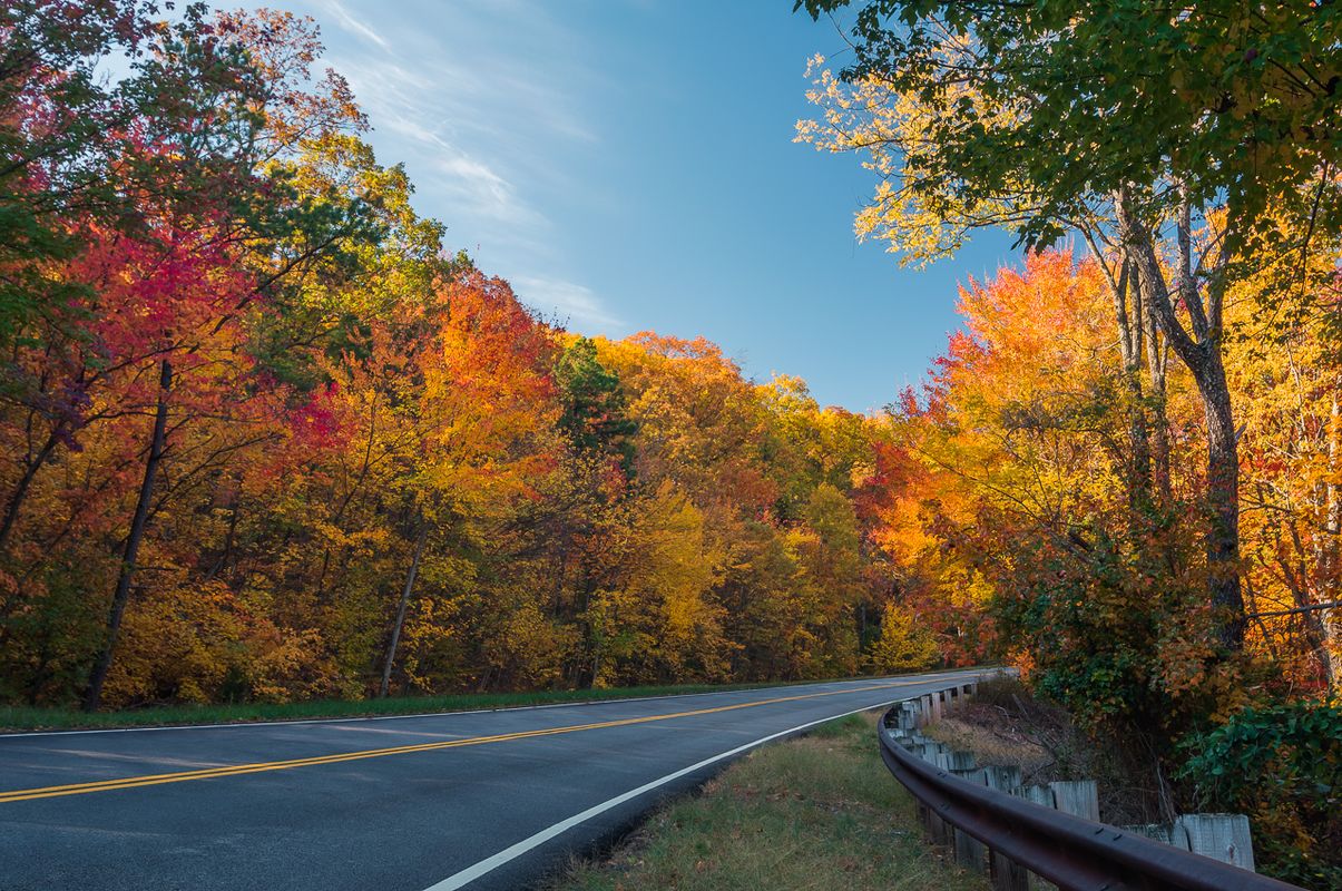 Talimena National Scenic Byway | TravelOK.com - Oklahoma's Official ...