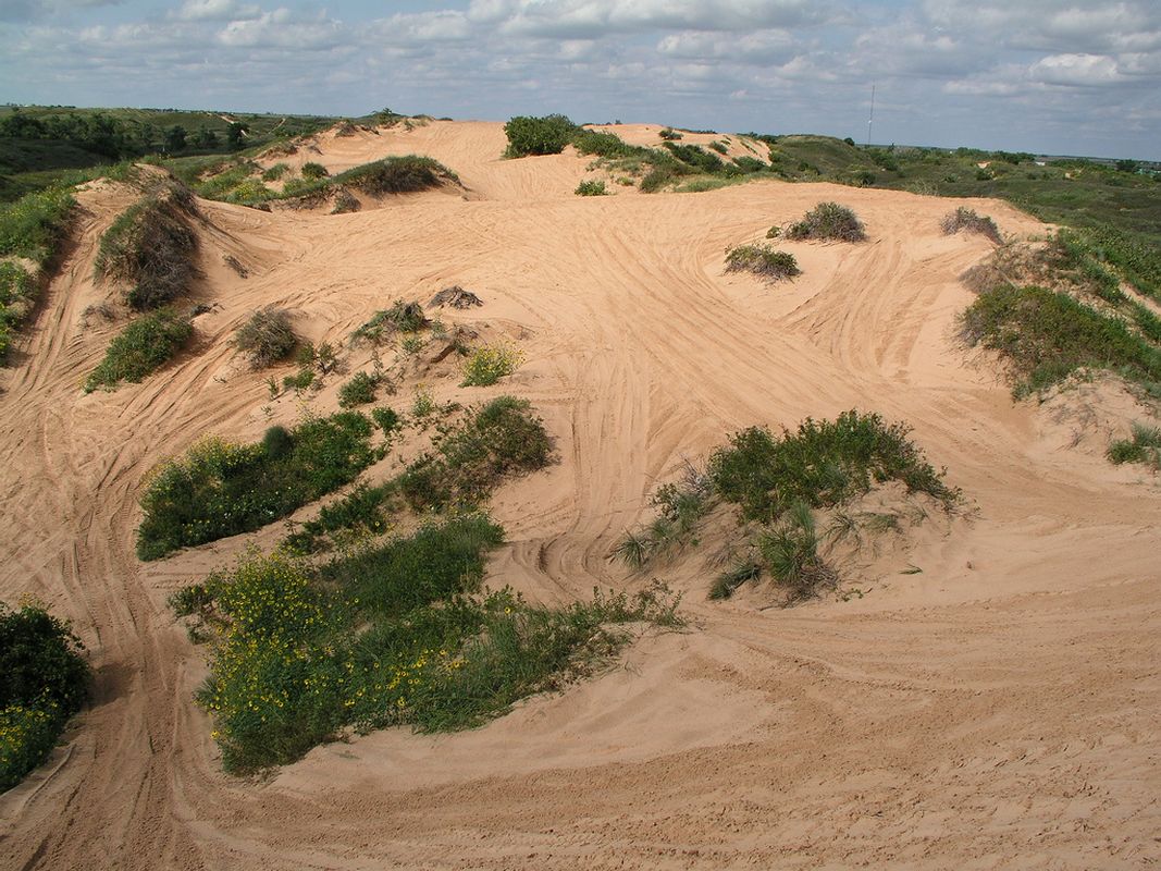 Escape to Oklahoma's Beaver Dunes: Sun, Sand, and Unforgettable Memories