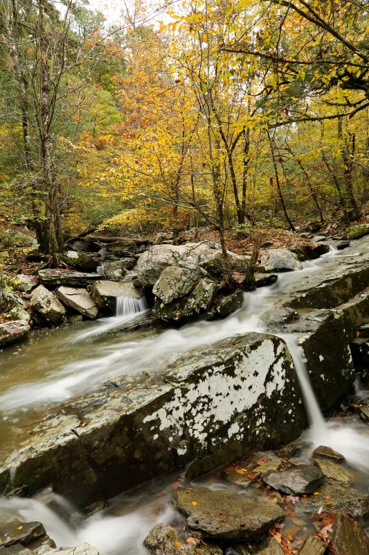 Best Bets for Oklahoma Fall Foliage | TravelOK.com - Oklahoma's ...