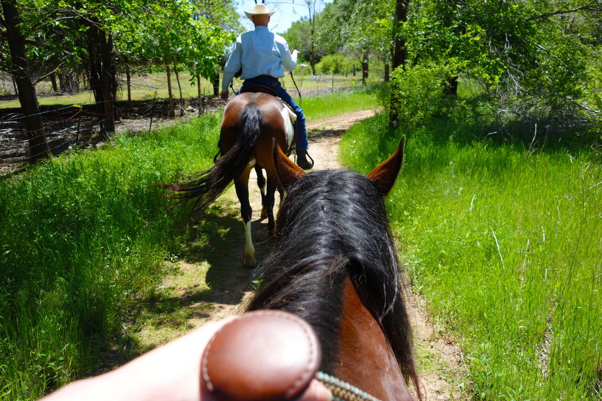 Honey Lee Ranch Trail Rides  - Oklahoma's Official Travel &  Tourism Site