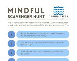 View Kids Mindful Scavenger Hunt at Spring Creek