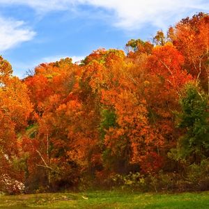 Fall colors at their peak along Spavinaw Creek in Spavinaw.
