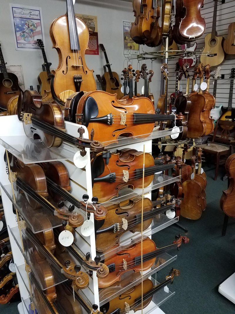 Fiddle shop new arrivals
