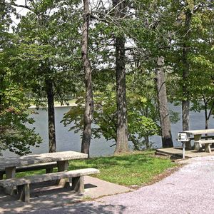Enjoy a picnic lunch by the lake under the shade trees.