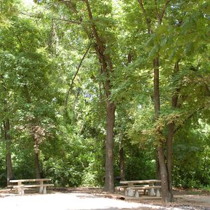 A peaceful picnic area at Twin Bridges.