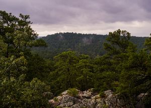 In what was once a hideout for some of the nation's most infamous robbers, the Oklahoma Road Trip team rappels down cliffs at Robber's Cave State Park and strikes gold with the chicken fry at Maw and Pa's Country Cafe in Wilburton.