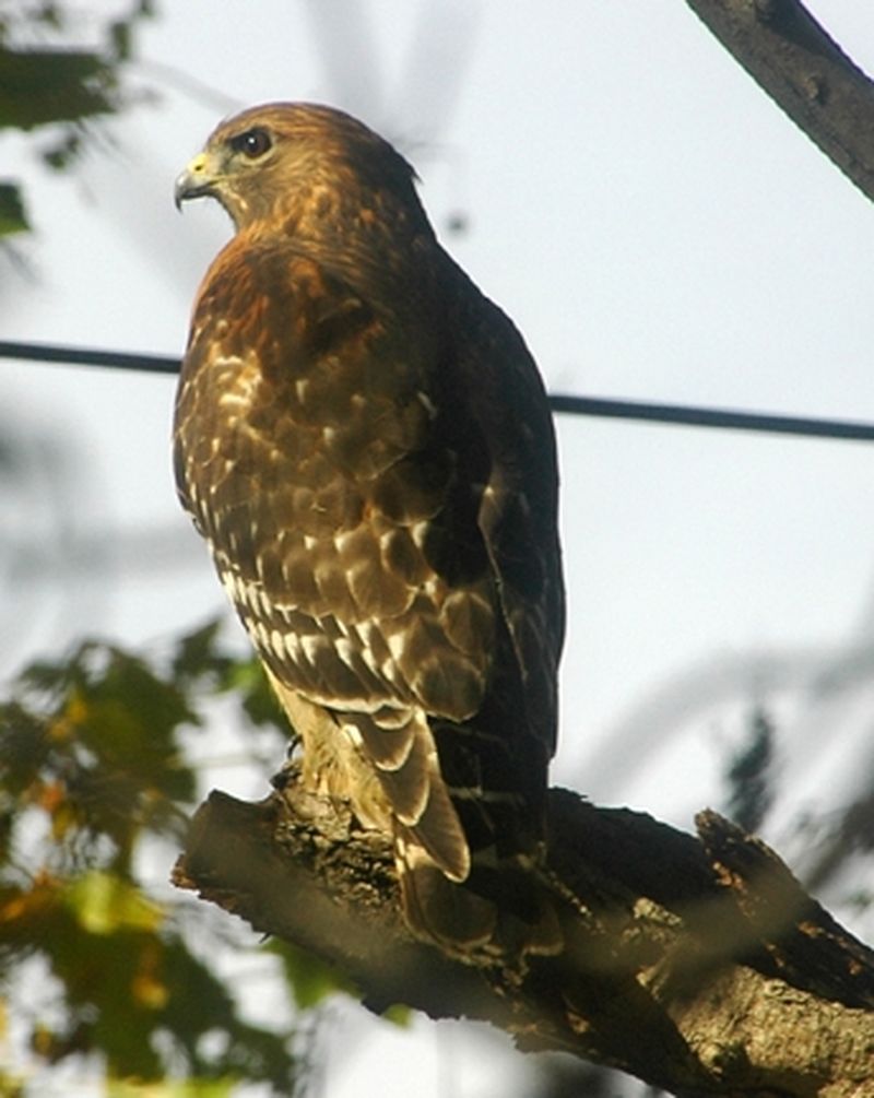 Sequoyah National Wildlife Refuge | TravelOK.com - Oklahoma's Official ...