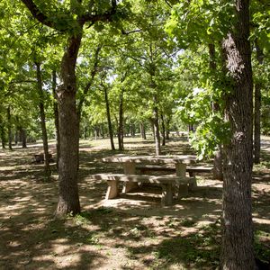 Pack a lunch and enjoy a picnic among the shady cover that the dense forest Osage Hills State Park provides.