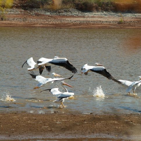 Salt Plains State Park in Jet features unexpected natural treasures like its saltwater lake.